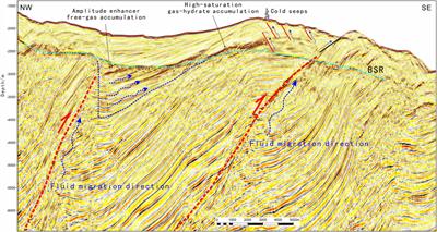 Characteristics of High Saturation Hydrate Reservoirs in the Low-Angle Subduction Area of the Makran Accretionary Prism